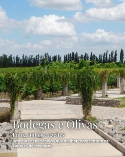 🇦🇷 10 MAIS ARGENTINA

Mendoza e Buenos Aires são duas cidades completamente diferentes, mas que juntas entregam uma viagem cheia de experiências.

Entre vinhos e azeites, a Cordilheira dos Andes, ruas arborizadas, arquitetura, história, cultura e aquela mistura de antigo e moderno que faz Buenos Aires ser tão interessante, selecionei 10 lugares e experiências que mais marcaram a minha viagem.

Algumas escolhas são clássicas e não poderiam ficar de fora. Outras entraram justamente porque me surpreenderam pelo caminho.

Desliza até o final e me conta: qual desses lugares você colocaria no seu roteiro? 🇦🇷

E se você está planejando uma viagem para a Argentina, salva esse post para consultar depois.

#AquiEAssim #Argentina #Mendoza #BuenosAires #ViagemArgentina DicasDeViagem RoteiroArgentina TravelArgentina