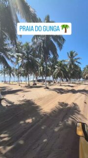 Chegamos ao litoral sul! Para o meu aniversário, escolhi a Praia do Gunga, a 30 km da capital (~50 min de trajeto). Um verdadeiro paraíso com falésias coloridas, coqueiros, dunas e piscinas naturais. 🌴☀️

​Muita gente deixa de viajar sozinha por medo, mas tudo depende da sua abertura. Chegando na praia, deixei minhas coisas na mesa do nosso guia (o Eloy, excelente!) e em dois minutos fiz amizade com a Edna e a Patrícia, companhias para a viagem inteira! 👯‍♀️

​Para aproveitar o Gunga com planejamento financeiro real, anote essas dicas práticas:

📍 Feche localmente os passeios: não feche com agências antes de viajar. Eu fiz isso e paguei mais caro. Fechar em Maceió é mais barato e rende dicas direto com os guias locais.

📍 Orçamento extra: o valor das agências cobre apenas deslocamento e guia. Para explorar as regiões mais bonitas, você precisará investir nos atrativos à parte (buggy, jipe ou catamarã). Leve de R$ 250 a R$ 300 extras por pessoa para garantir essas experiências.

📍 Dinheiro e Pix: máquinas de cartão falham muito pelo sinal ruim. Tenha internet para Pix ou leve espécie. Nós contamos com a ajuda do guia: fazíamos o Pix para ele e ele pagava as atrações em dinheiro vivo para a gente.

📍 Segurança no Buggy: o trajeto até as falésias balança bastante. Se for filmar, vá no meio. Eu fui na ponta, não me segurei direito e machuquei a unha do pé (chegou a sangrar).

​🥥 O que fizemos e quanto custou:

Combo Gunga (R$ 130/pessoa): inclui buggy (pela Fazenda Gunga e falésias) + catamarã (que navega pela lagoa até o encontro com o mar, parando nos bancos de conchas e passando na casa do Djavan).

Almoço: peixe ao molho de camarão na barraca da praia (R$ 135 para três), salada extra (R$ 38) e a famosa cocada com sorvete (R$ 33).

Jantar de Aniversário: na orla central de Maceió, fomos ao clássico Lopana. Comida divina! Paguei R$ 141,66 no prato de salmão com bebidas.

​➡️ O relato completo desta viagem está no blog do projeto no link da bio!

​#PraiaDoGunga #Maceio #ViagemSozinha #RoteiroAlagoas #AquiEAssim