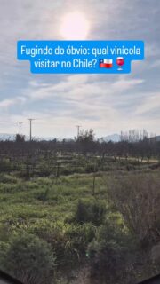 Não dá para ir ao Chile e não provar os vinhos direto da fonte! 🍷🇨🇱 Mas com tantas opções perto de Santiago, qual escolher? Eu decidi fugir dos roteiros mais óbvios, como Concha y Toro ou Santa Rita, para viver duas experiências completamente opostas e em vales diferentes.

🌿 1. Vinícola Emiliana (O charme orgânico): localizada no Vale de Casablanca. É uma das maiores vinícolas orgânicas do mundo. O passeio é super leve, com direito a caminhar pelas parreiras e interagir com as alpacas e galinhas que ajudam no controle de pragas de forma totalmente natural. Perfeita para quem quer contato com a natureza e fotos lindas.

🏰 2. Cousiño Macul (A tradição): localizada dentro de Santiago, no Vale do Maipo (super fácil de chegar de Uber). Fundada em 1856, continua nas mãos da mesma família fundadora. Fiz o Tour Premium e recomendo muito! Você conhece as adegas subterrâneas feitas de tijolo, argamassa de cal e ovo, e termina com uma degustação de rótulos exclusivos harmonizados.

💡 Dicas de ouro (aprenda com os meus erros): 
1️⃣ Passeios no balcão: o Chile foi um país onde decidi sair com os passeios prontos do Brasil e acabei pagando mais caro. Minha recomendação é verificar e fechar as visitas direto na recepção do hotel ou nos sites oficiais das vinícolas quando estiver lá. É mais seguro e muito mais barato. 
2️⃣ Cuidado com o peso da mala: se você quer trazer garrafas na bagagem para o Brasil, reserve espaço e peso! Voltei com a mala pesando 28 kg e a taxa de excesso no aeroporto não foi barata.

Para incluir esses tours e calcular os gastos da sua viagem sem estourar o orçamento, use o meu Planejador de Viagens. O link para baixar a ferramenta está na minha bio! 📊✈️ 

Fique de olho, porque no próximo post da série Chile nós vamos começar a nossa aventura rumo ao deserto mais árido do mundo. Segue o perfil para não perder!

#VinicolasChile #VinhoChileno #CousinoMacul #VinicolaEmiliana #AquiEAssim
