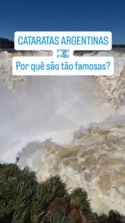 Cataratas do Iguazú: o lado argentino é uma experiência de imersão total! 🇦🇷🌊 

Se no Brasil temos a visão do palco, na Argentina nós estamos dentro do espetáculo.

Patrimônio Mundial da UNESCO, o Parque Nacional Iguazú é gigantesco e exige pernas preparadas. 

São três circuitos que mostram ângulos completamente diferentes: 
✨ Circuito Superior: para ver as quedas do topo. 
✨ Circuito Inferior: para sentir a névoa e a força lá de baixo. 
✨ Garganta del Diablo: o ponto alto, acessado por trem e uma passarela de 2,2 km sobre o Rio Iguaçu.

⚠️ Fica o alerta! O parque é cheio de quatis. Eles são lindos, mas experts em "assaltar" turistas. Eu mesma perdi meu Pingo d'Ouro para um deles! Não alimente os animais, por segurança sua e deles.

A sensação de estar no topo da Garganta do Diabo é indescritível. É tanta energia que a emoção transborda — e sim, eu chorei! É o encontro direto com a força bruta da natureza.

Já prepara o fôlego porque no próximo vídeo eu vou mostrar o passeio que entra embaixo dessas quedas! 🚤

Confira o relato completo da minha aventura no link da Bio!

#CataratasDoIguacu #IguazuArgentina #GargantaDelDiabo #DicasDeViagem #FozDoIguacu